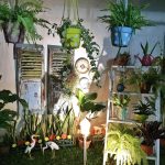 Taman Depan Rumah Dengan Lampu Taman Minimalis Taman Depan Rumah Dengan Lampu Taman Minimalis