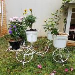 Taman Depan Rumah Dengan Pot Bunga Yang Keren Taman Depan Rumah Dengan Pot Bunga Yang Keren