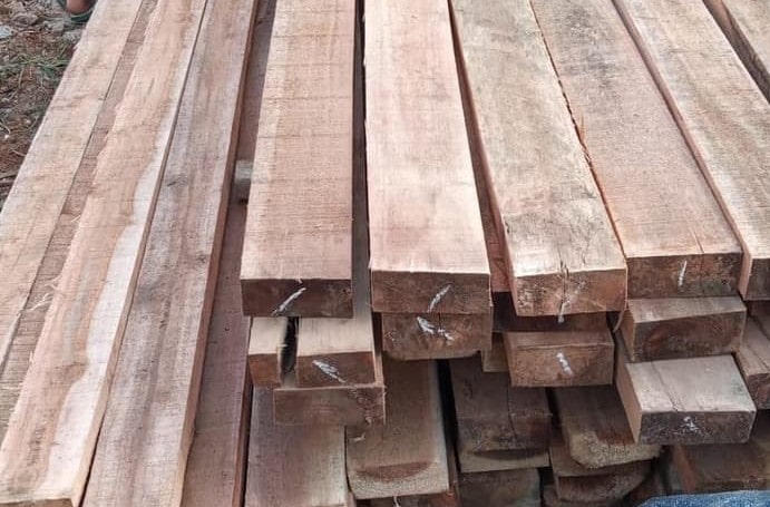 Harga Kayu Galar Terbaru